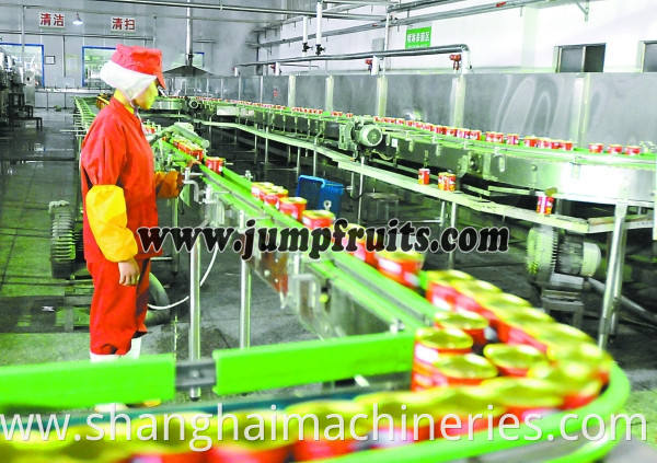 Canned food production line